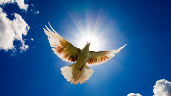  Iglesia Presbiteriana Westminster renuncia a la denominaciÃ³n Presbyterian Church of United States of America