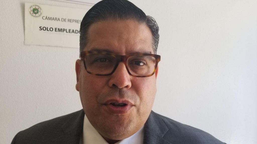  Delegaci&oacute;n del PPD en la C&aacute;mara advierten medida sobre venta AEE no atiende interrogantes congresionales 