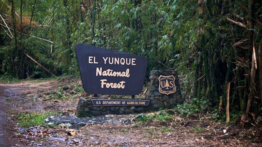  Aparecen a salvo los cinco turistas reportados como desaparecidos en El Yunque 