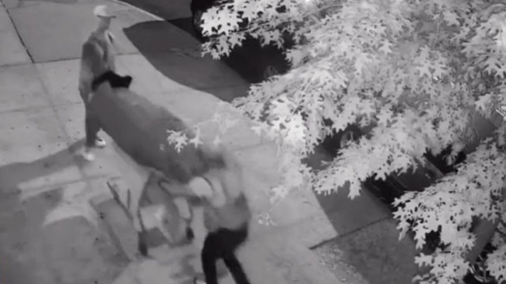  C&aacute;mara de vigilancia graba a dos hombres llevando un cad&aacute;ver envuelto en una alfombra por Nueva York 