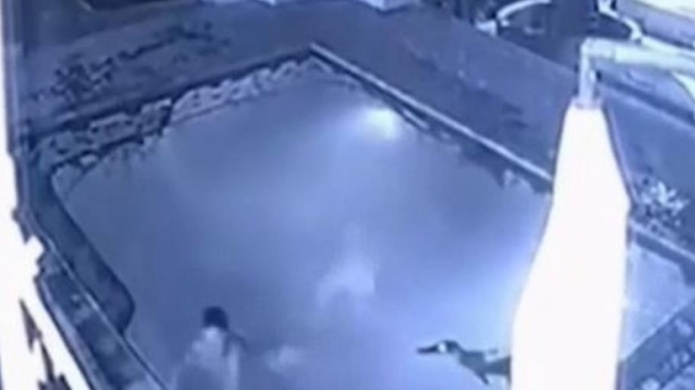  Video: Estaban romÃ¡nticamente en la piscina cuando de pronto entra un caimÃ¡n 