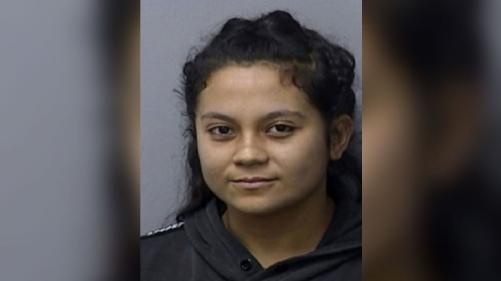  Mujer de Comerio enfrenta cargos por agredir a su pareja 