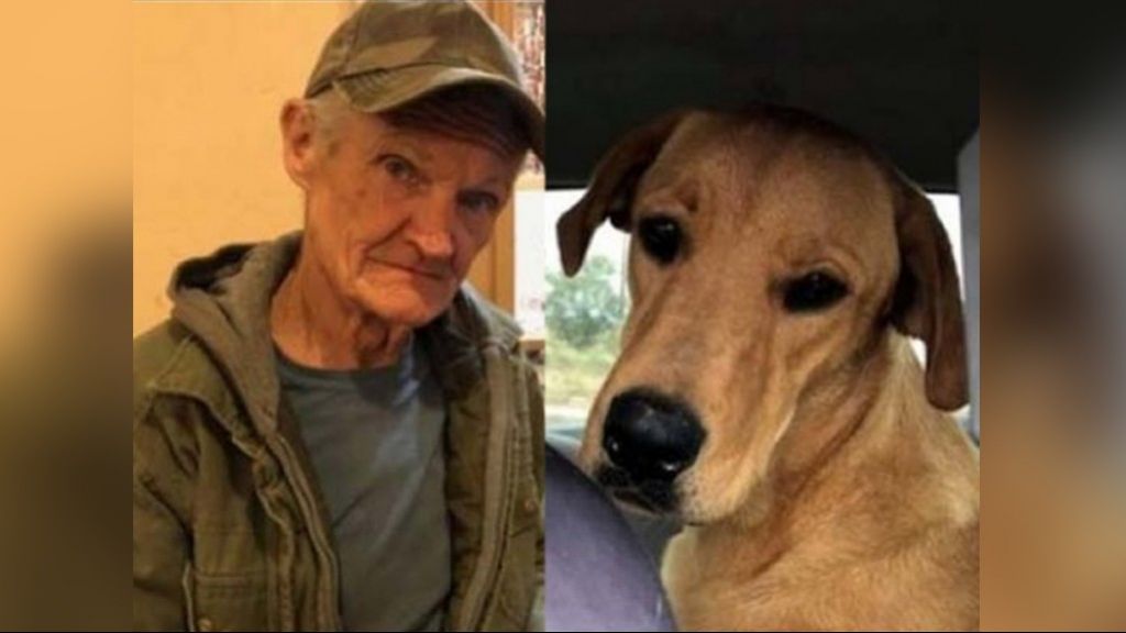  Perrito le dispara a su due&ntilde;o por la espalda 