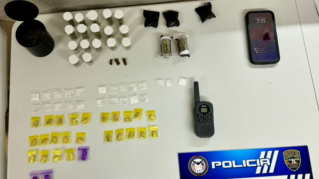  Varios arrestados durante allanamiento en Cayey 