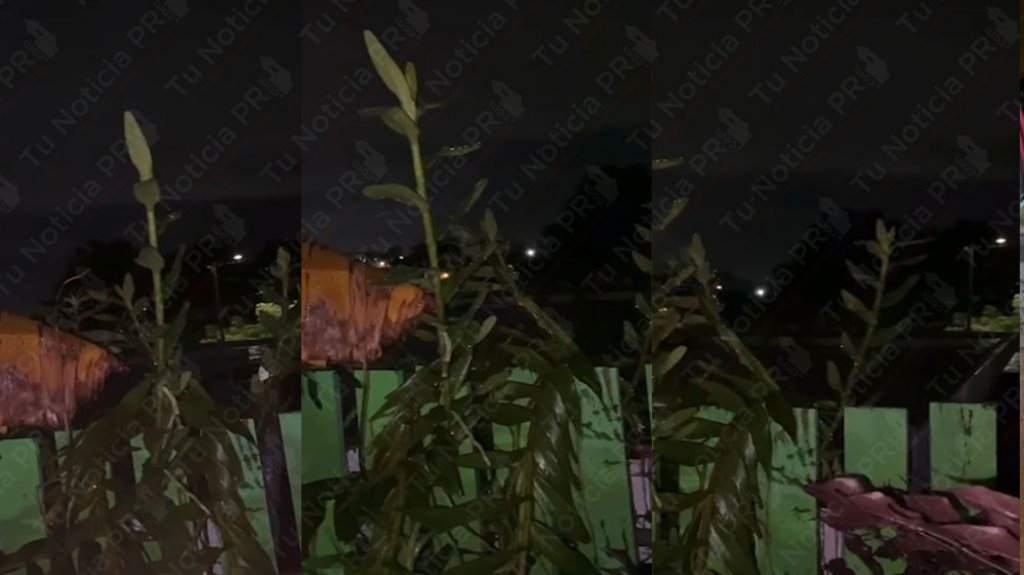  Publican video del tiroteo de esta madrugada en Monte Hatillo que dej&oacute; un muerto y varios heridos 