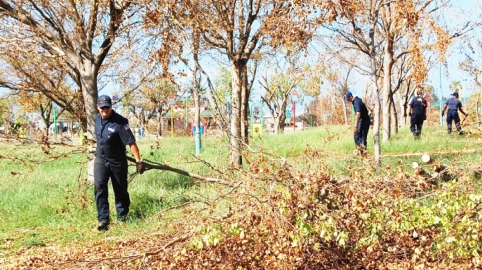 "Coast Guard"  limpia y restaura el parque La Guancha