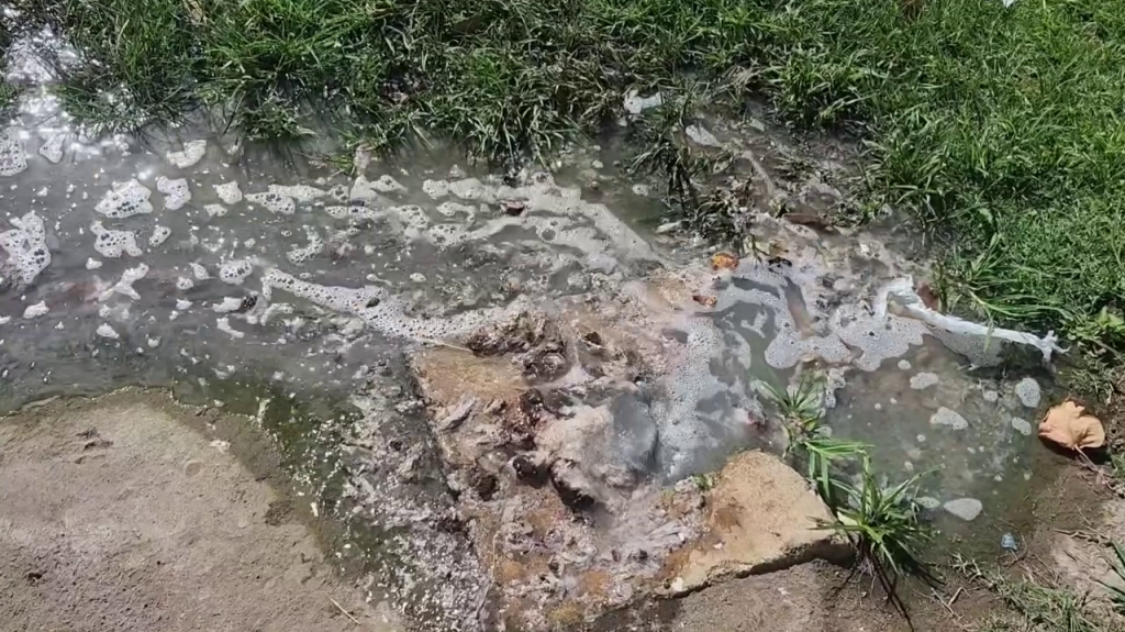  Residentes de Toa Baja denuncian desborde de aguas negras por casi un mes, adultos mayores piden ayuda urgente 