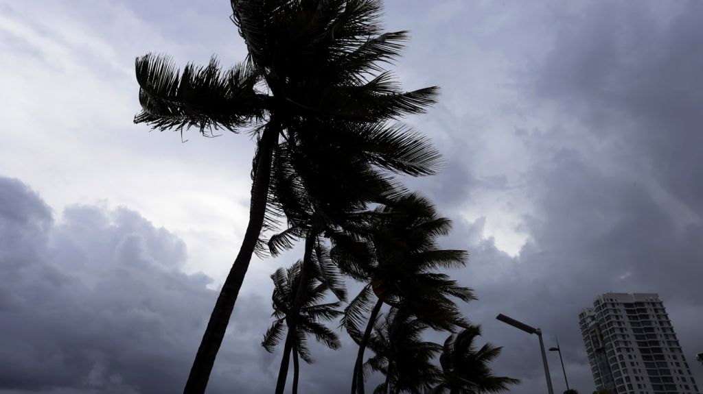  Legisladora visita comercios ante posible paso de Dorian por Puerto Rico 