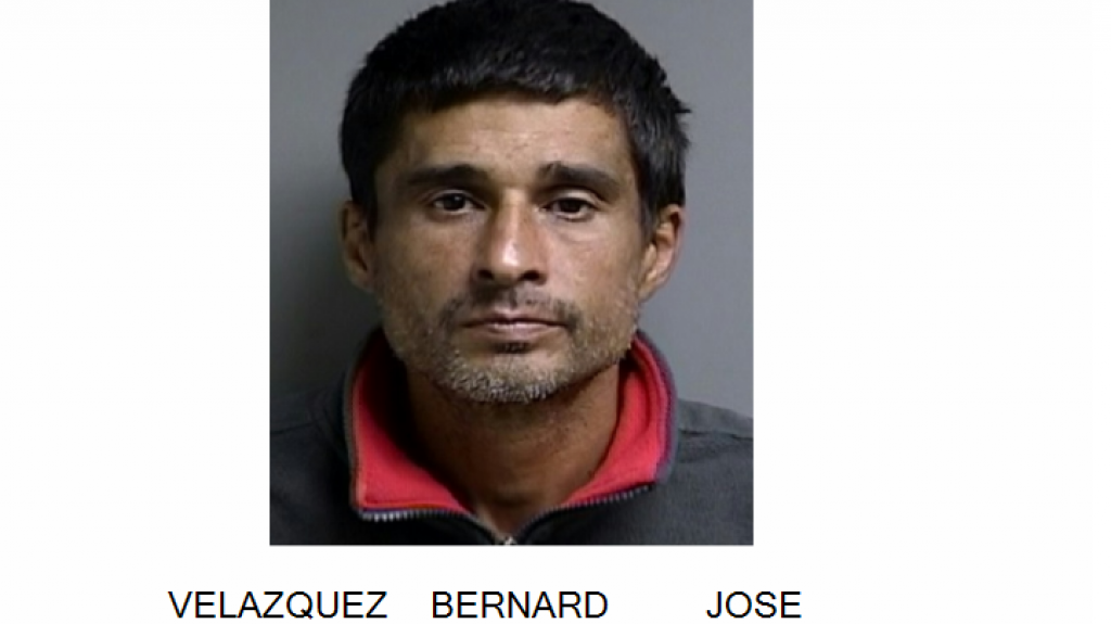  A la cárcel, lo “Pillaron” desmantelando un carro robado en Aguas Buenas 