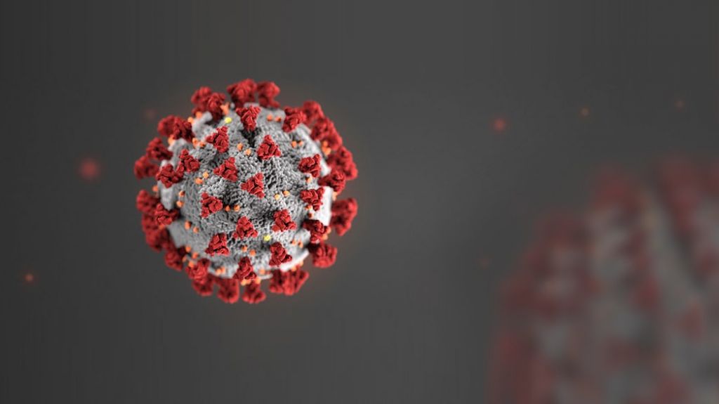  El Instituto de Estad&iacute;sticas colabora en el desarrollo de herramienta de recopilaci&oacute;n de datos para COVID-19 de hospitales 