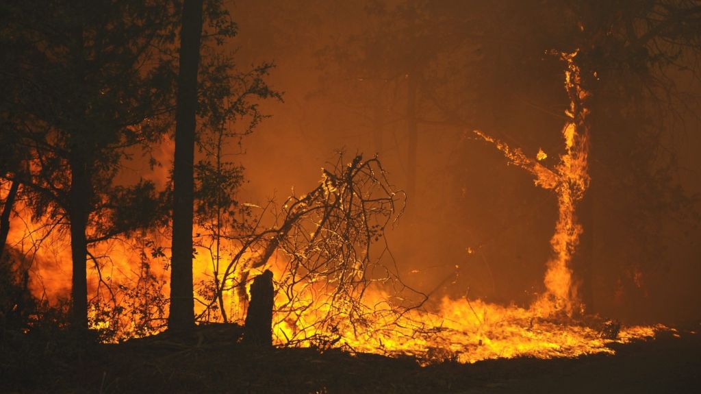  Desalojan a cientos de personas en Texas por un incendio en un parque natural 