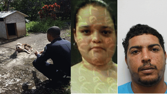 Policía municipal de Guaynabo logra arrestos de pareja responsable de Pitbull desnutrido 
