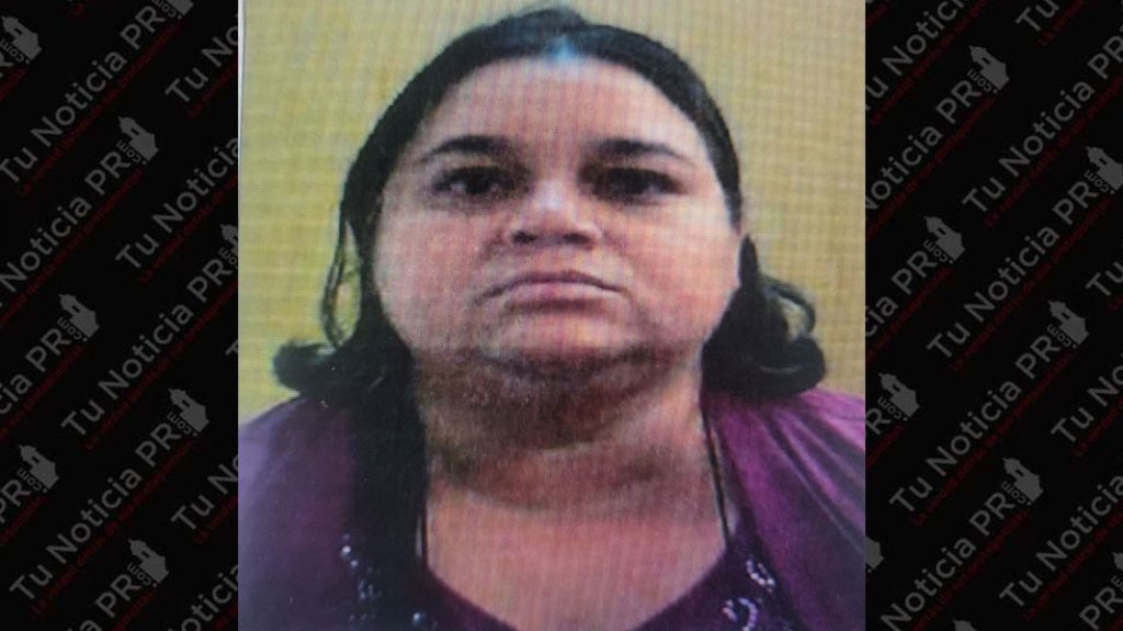  Buscan mujer desaparecida en Toa Alta 