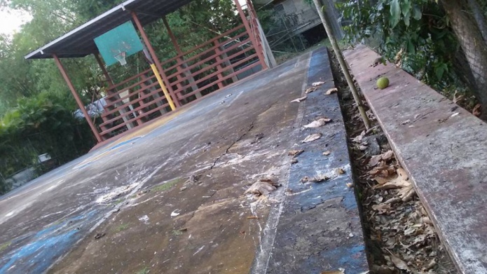 Denuncian abandono de Ã¡reas deportivas en Guaynabo por parte de O`Neill 