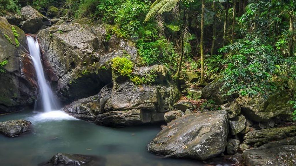  Exhortan hacer turismo interno 