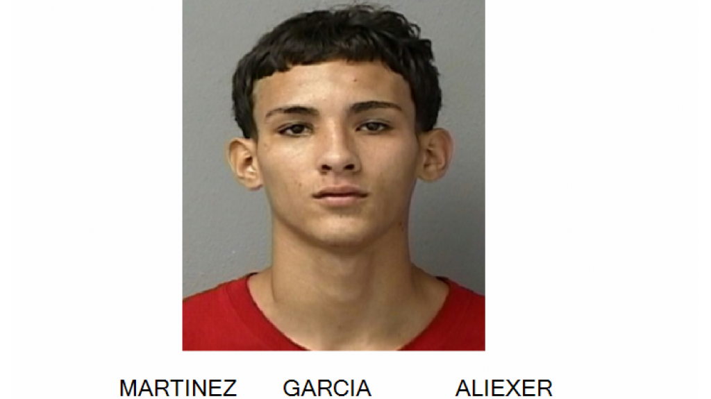  Arrestan “Chamaquito” de 19 años que agredió a su pareja embarazada en Arecibo 
