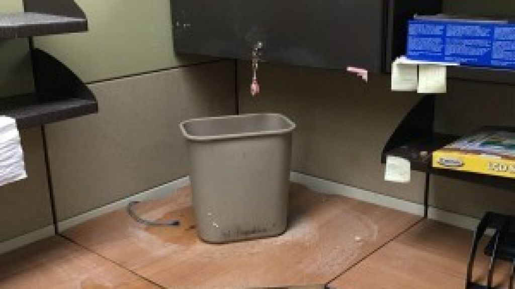  Empleados Comisi&oacute;n Industrial demandan por &ldquo;condiciones deplorables&rdquo; en su centro de trabajo 