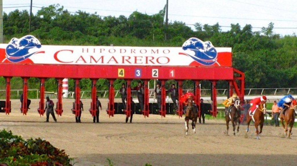  Se reporta escalamiento en hip&oacute;dromo de Can&oacute;vanas 