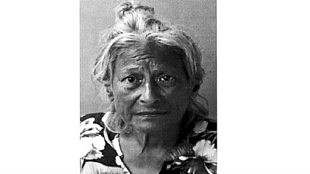  Arrestan a Do&ntilde;ita en Aguadilla por Acecho 