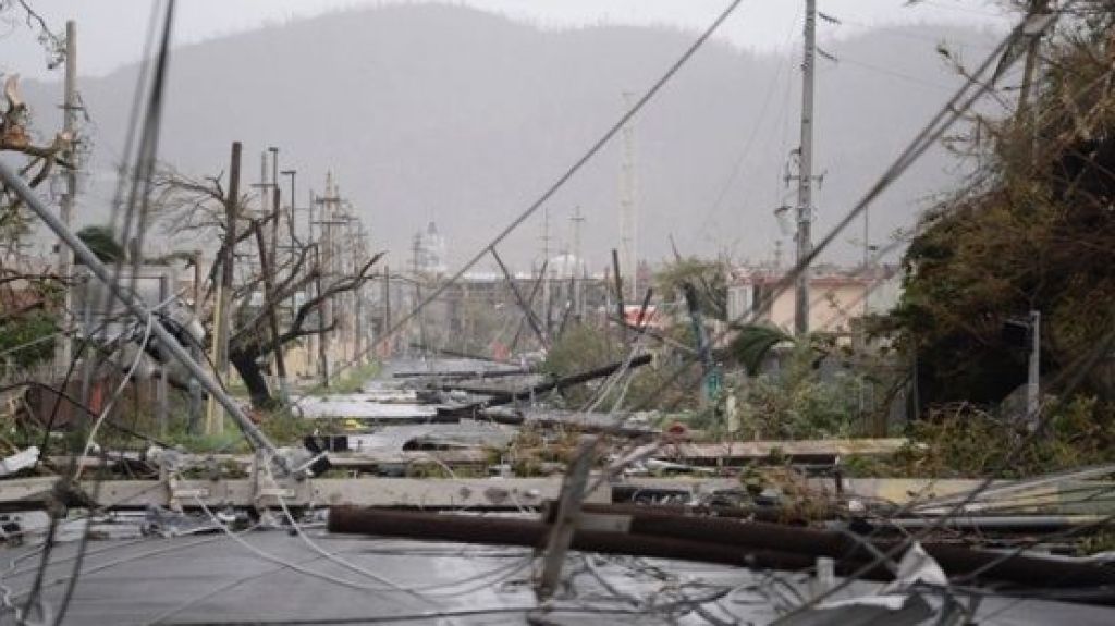 EnvÃ­an mil postes para tendido elÃ©ctrico a Puerto Rico
