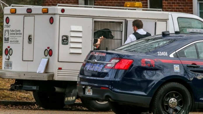 Un niÃ±o muerto y 2 heridos por ataque de perros pit bull en Atlanta