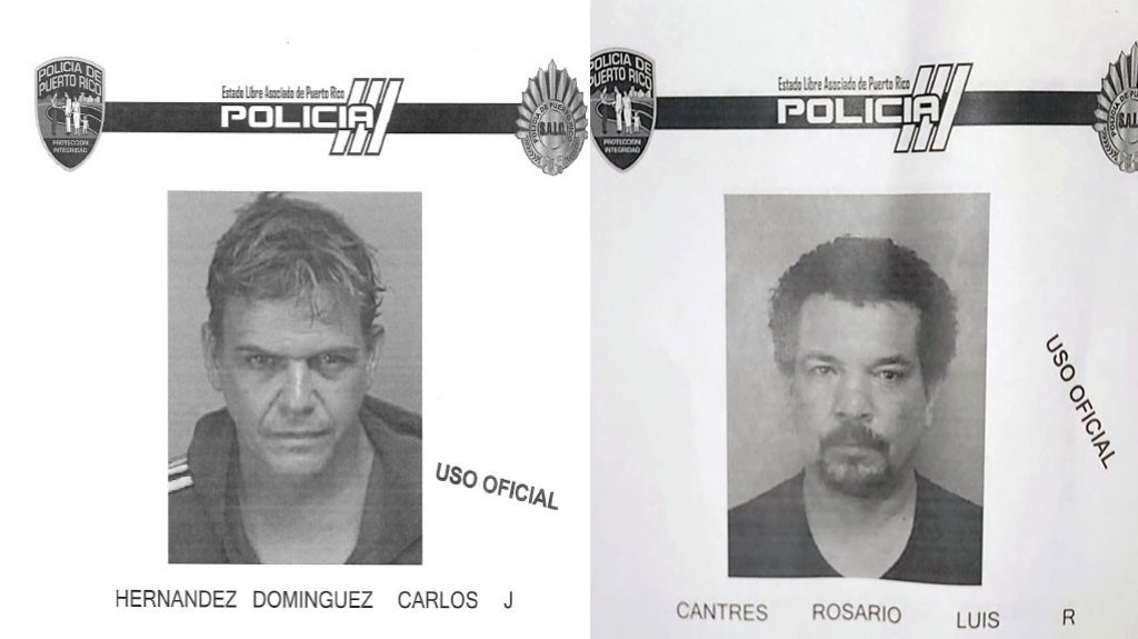  Andaban en un carro robado y disparaban al aire en Toa Baja 