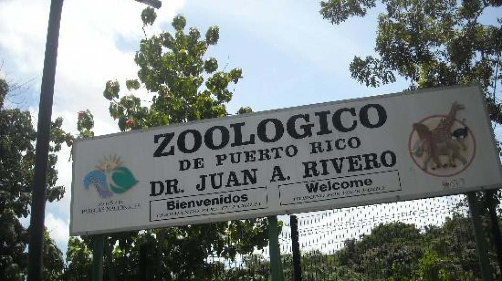  DRNA trasladará animales exóticos del Centro de Detención de Cambalache al zoológico de Mayagüez 