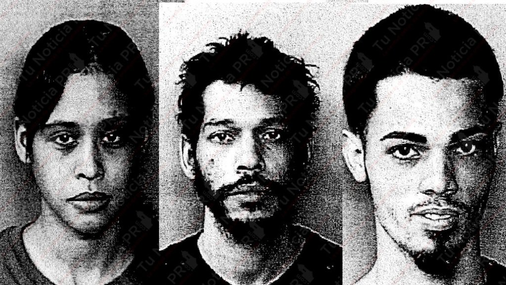  Fichados los 3 &ldquo;roba aros&rdquo; arrestados por municipales de San Juan 