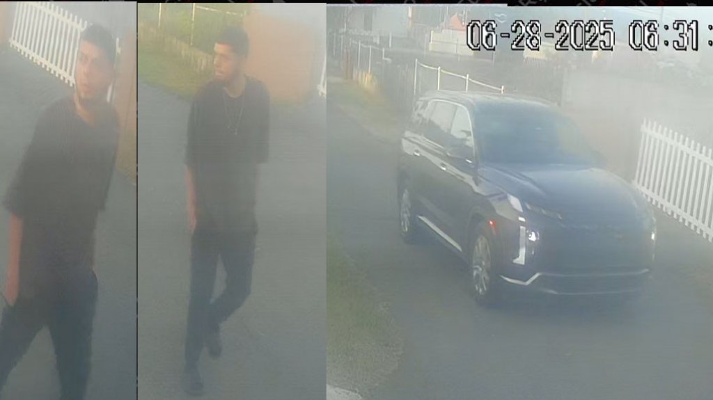  Se Busca por robar de una compañía en Arecibo 