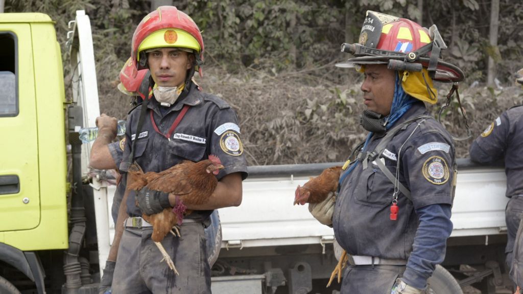  La ONU analiza las necesidades humanitarias en Guatemala tras la erupci&oacute;n 