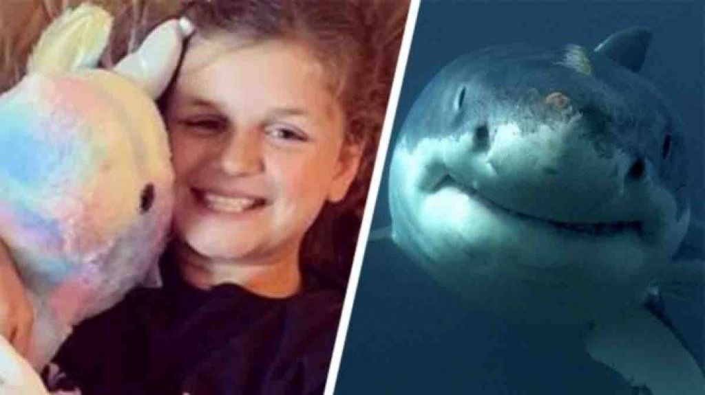  Ni&ntilde;a es atacada por tibur&oacute;n en Florida 