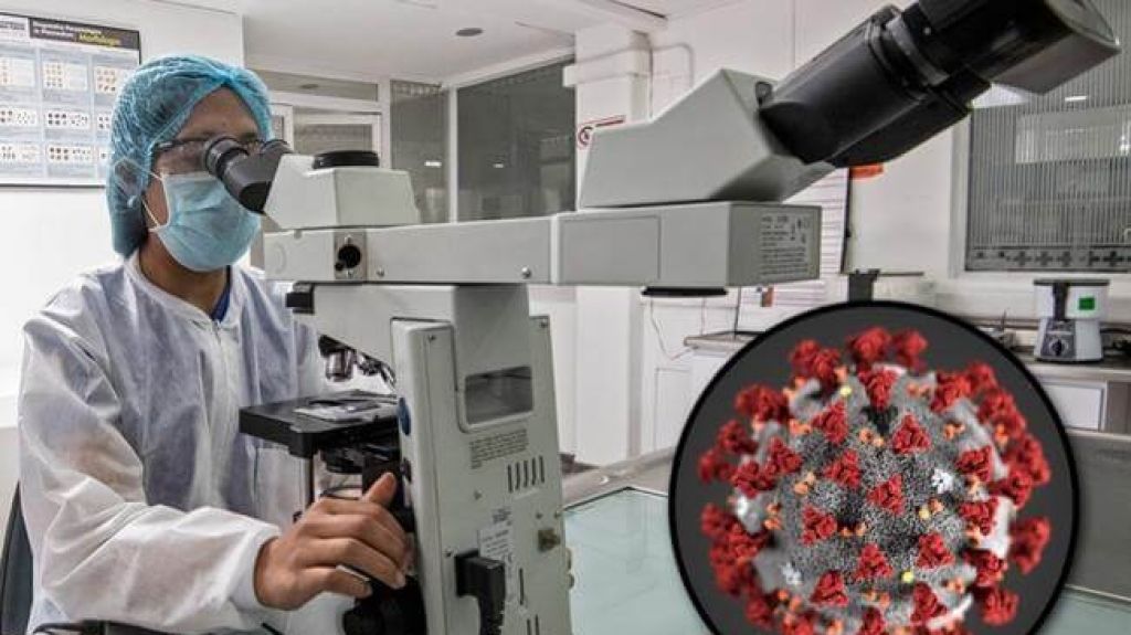  OMS desmiente teor&iacute;a conspirativa de que el coronavirus sali&oacute; de laboratorio 