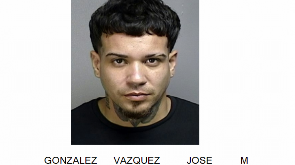  Arrestan a dos en de Lo&iacute;za y Vega Alta, uno por &ldquo;Borracho y el otro por ley 54 