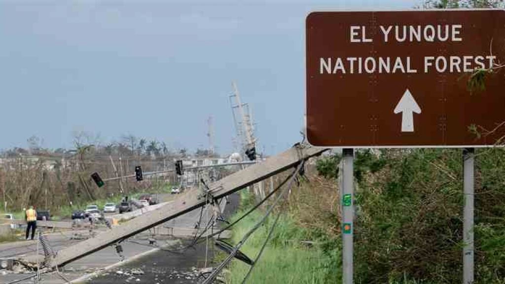 Comisionada residente anuncia 2.5 millones de dÃ³lares para El Yunque