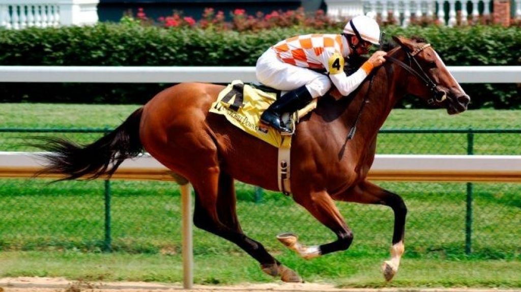  Crean nuevo Comit&eacute; de Reforma H&iacute;pica para modernizar las carreras de caballo en Puerto Rico 