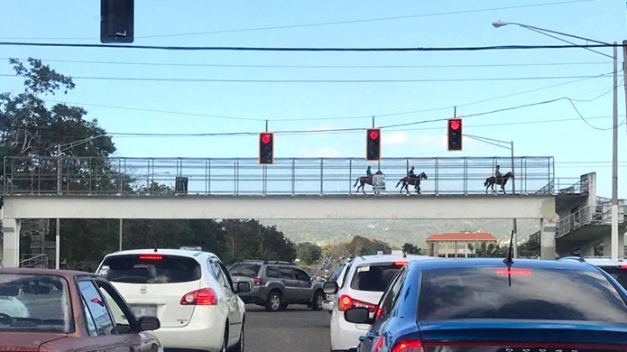Video: Conductores incrédulos por jinetes que utilizan puente peatonal para sus caballos en Aguada 