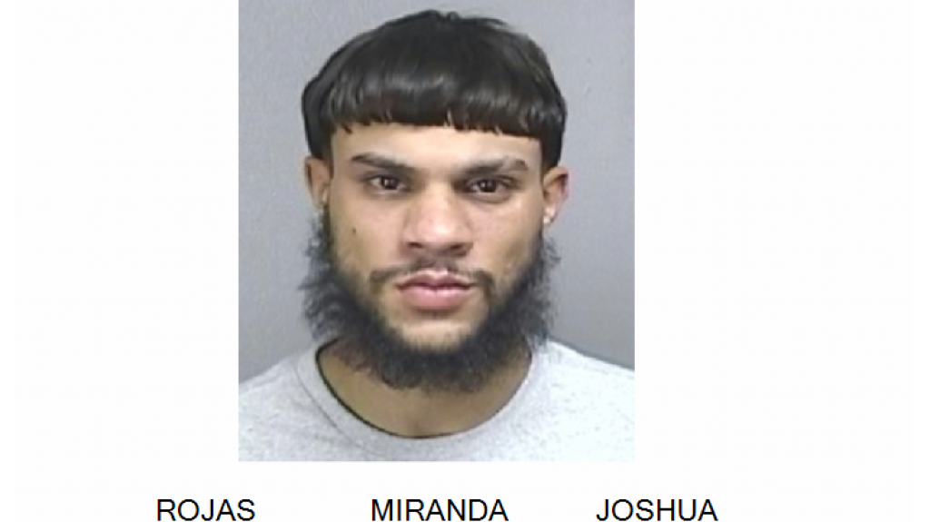  A la c&aacute;rcel por violencia domestica en Caguas 