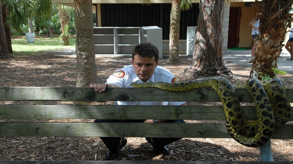  Demandan a organismo de vida silvestre por no proteger a serpientes 