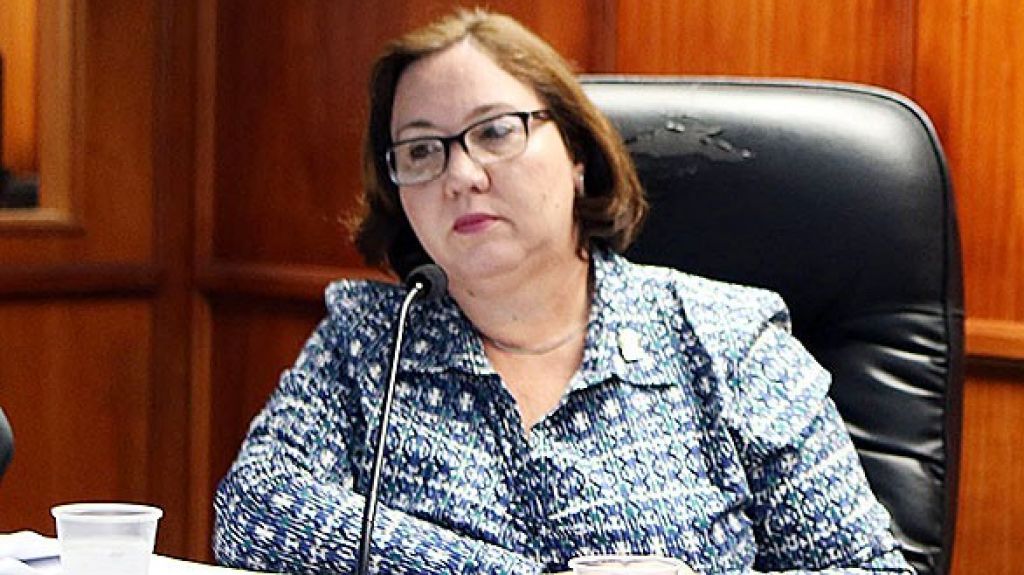  C&aacute;mara aprueba investigar proliferaci&oacute;n ajustadores independientes de seguros 