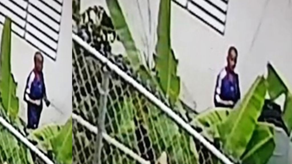  Lo Busca la polic&iacute;a, qued&oacute; grabado en video escalando residencia en Caguas 