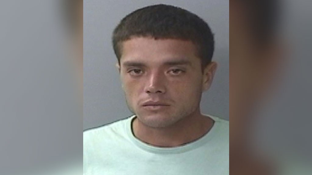  Hombre enfrenta cargos por escalar residencia y agredir brutalmente a un perro en Isabela 