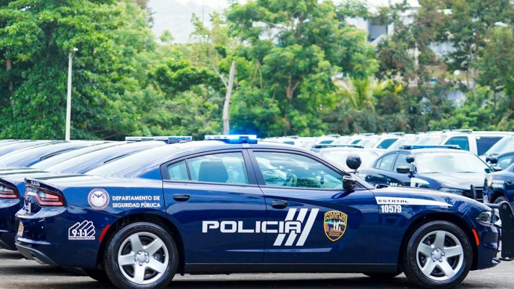  Cinco hurtos de autos en el pueblo de Bayam&oacute;n 