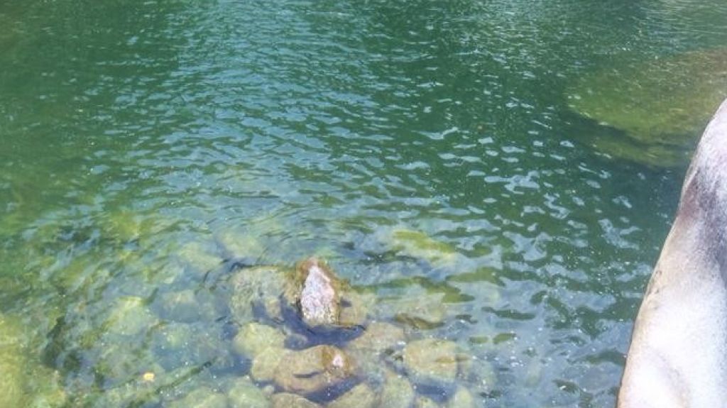  Hombre muere ahogado en r&iacute;o de Naguabo 