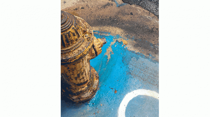 Video: Se pierde agua potable en Hidrante frente a la plaza de Vega Alta