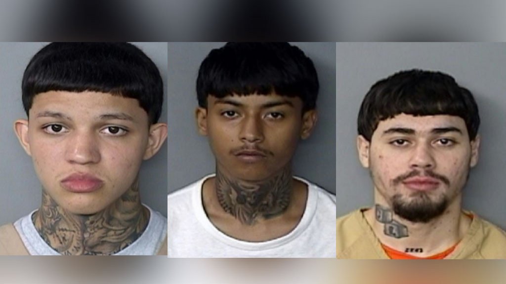  A la cárcel “Chamaquitos” que secuestraron y asesinaron a hombre en caserío de Mayagüez 