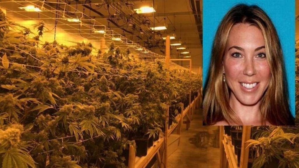 Audaz madre ganaba millones: cultivaba marihuana en un almacÃ©n al lado de la PolicÃ­a