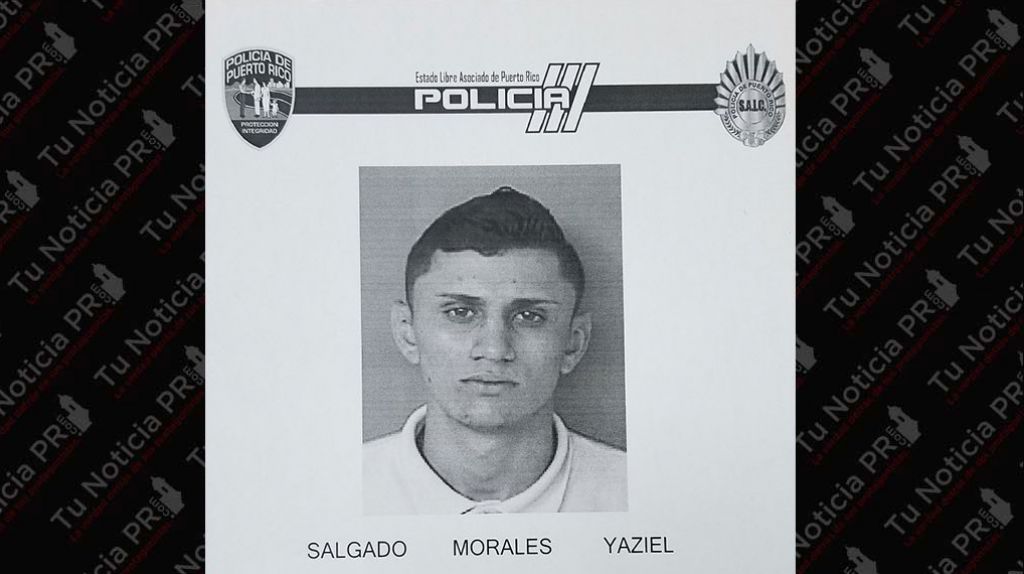  A la c&aacute;rcel por robar herramientas y una silla de caballo en Las Mar&iacute;as 