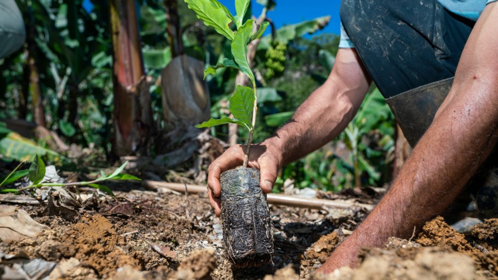  Asignar&aacute;n de 18 millones para que patronos recluten empleados agr&iacute;colas 