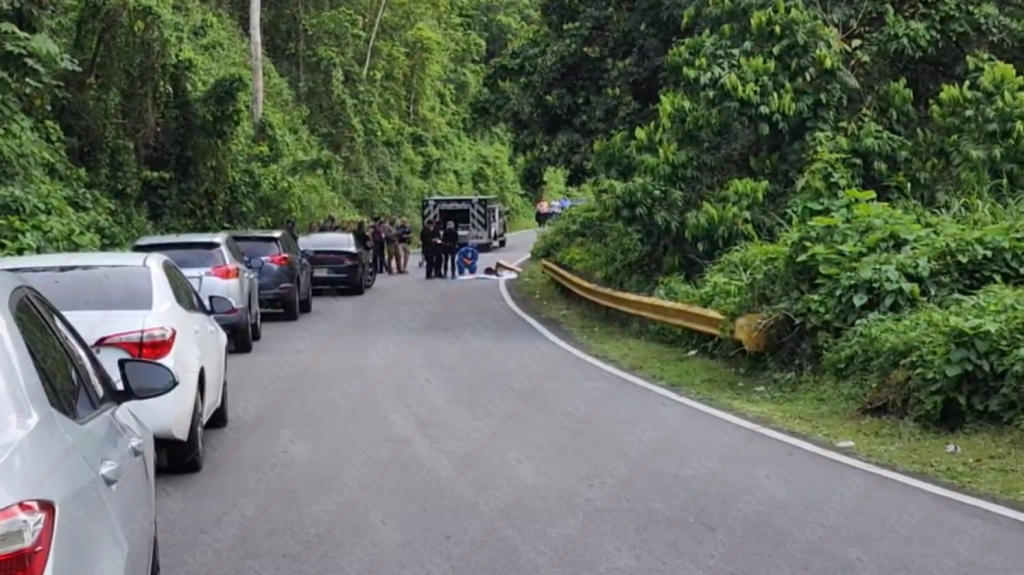  Video: Encuentran una persona muerta a orillas de una carretera en Guaynabo 