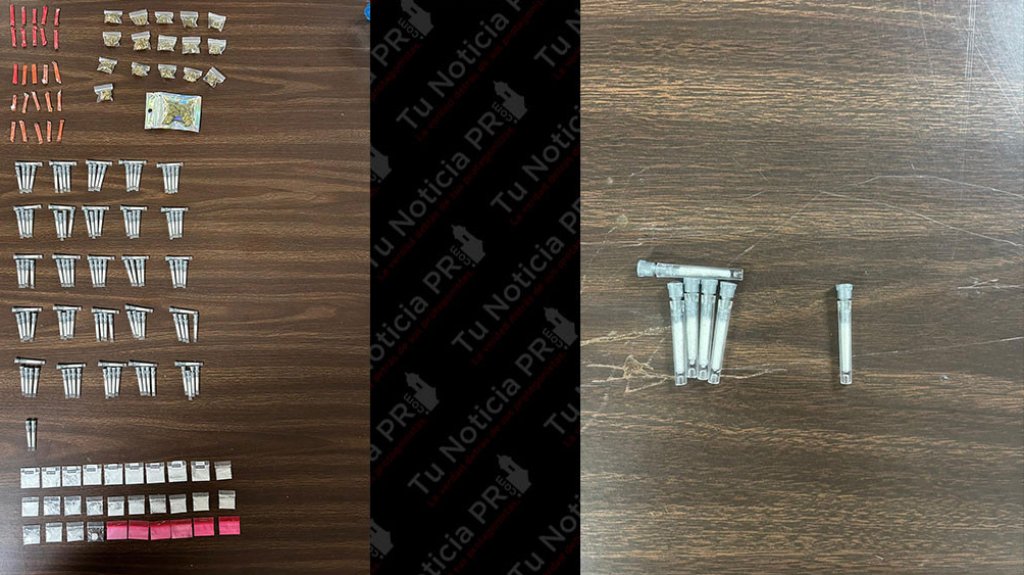  Ocupan drogas en Toa Baja 